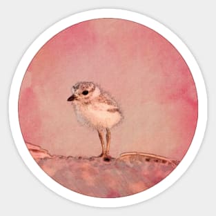 watercolor sandpiper in pink Sticker